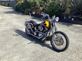 Cruising bikes for sale near me hot sale